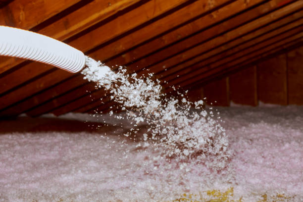 Best Insulation Materials and Products in Maquoketa, IA