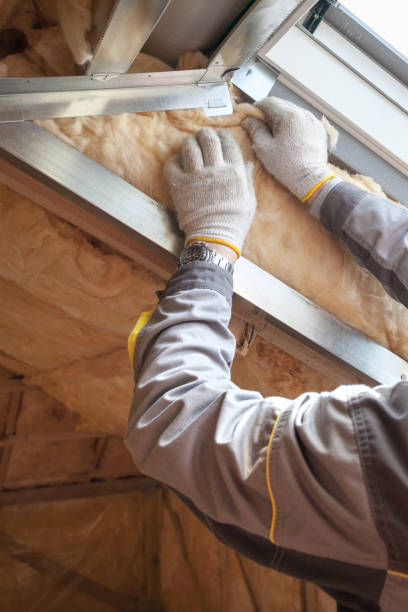 Types of Insulation We Offer in IA