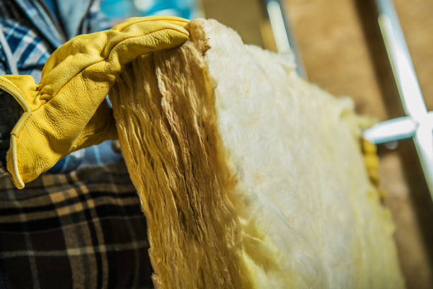 Best Insulation for Specific Applications in Maquoketa, IA