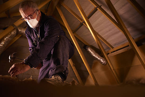 Best Insulation Maintenance and Repair in Maquoketa, IA